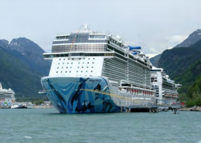 Federal court takes aim at cruise ship pollution as state reduces oversight in favor to industry