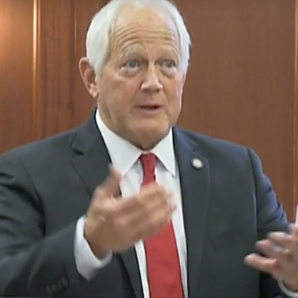 Closing argument: Sen. Chris Birch on the value of stability