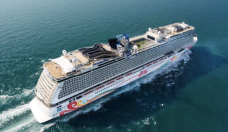 Foreign-flagged cruise ship giants struggle to stay afloat during pandemic