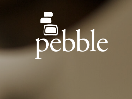State attempted appeal of Pebble mine decision reads like an appeal from Pebble mine