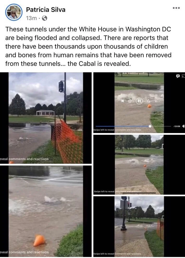 patricia silver.jpeg