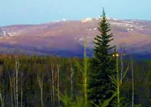 Mining company pulls back on Ester Dome mining exploration plan