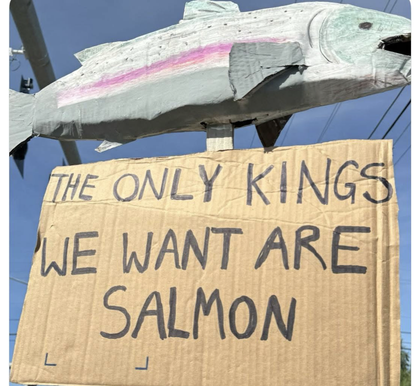 Peaceful Fairbanks protest draws large crowd on half-mile stretch of Airport Way
