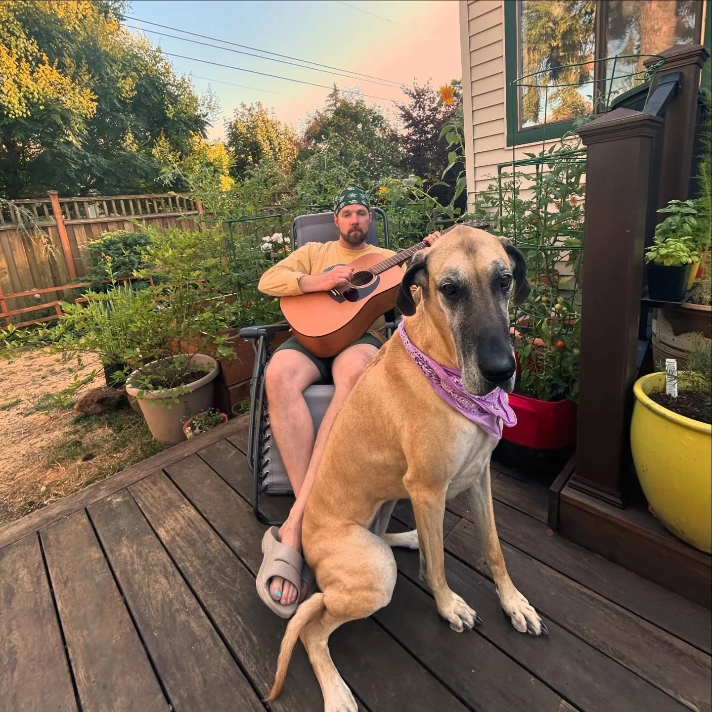 Helen likes to sit on feet sometimes and she also loves a good tune 🥰