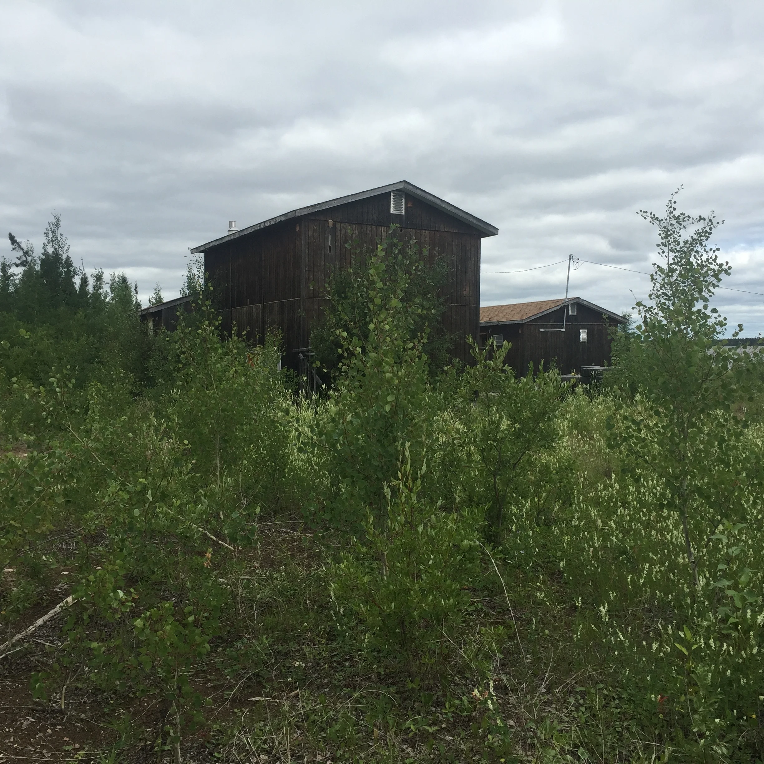 Bunkhouse and Kitchen.jpg