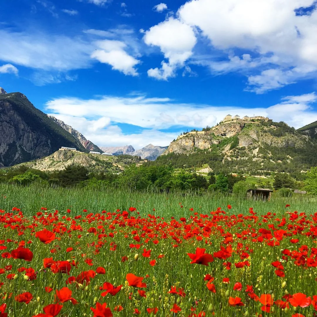 briancon spring.jpg