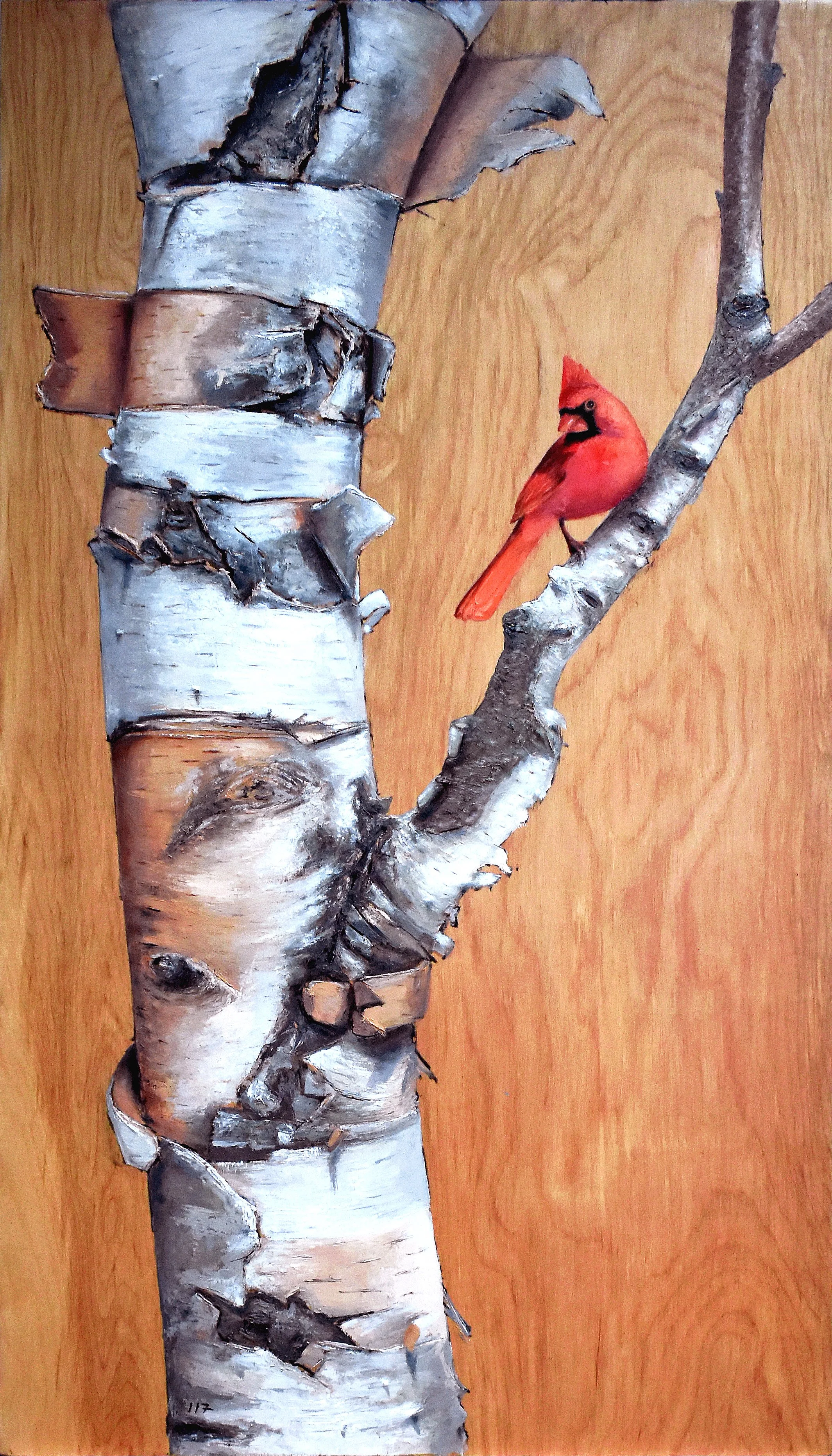 Northern_Cardinal.jpg