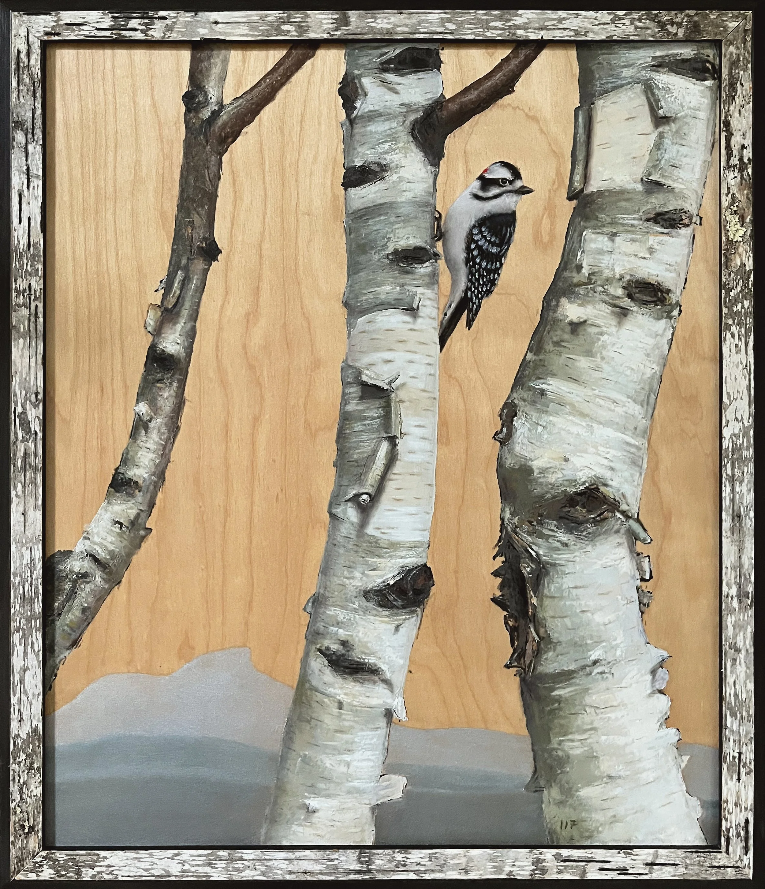 Downey_Woodpecker_framed.jpg