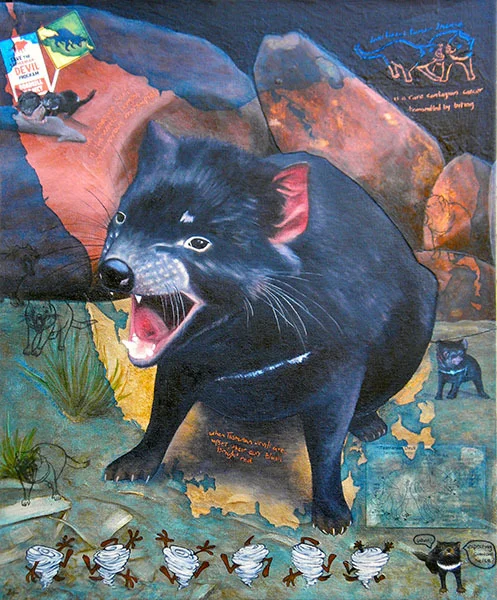 Fact: When Tasmanian Devils are upset their Ears Blush Bright Red