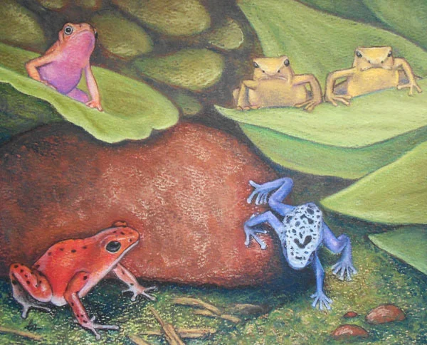 One Frog, Two Frogs, Red Frog, Blue Frog