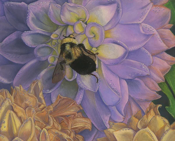 Busy Bumblebee