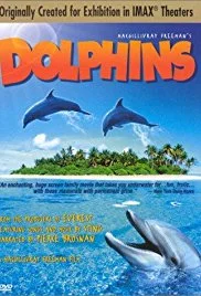 Dolphins.jpg