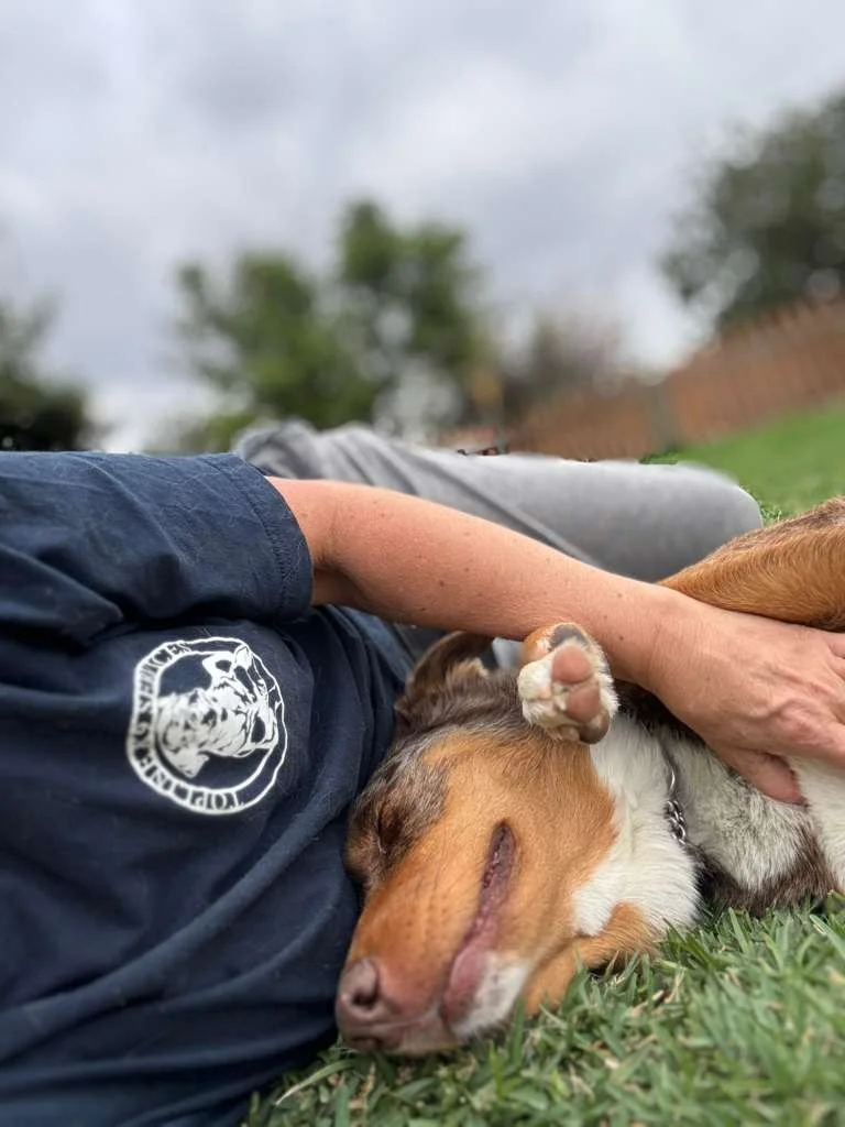 PHOTO-2026-03-31-15-22-54 2.JPG