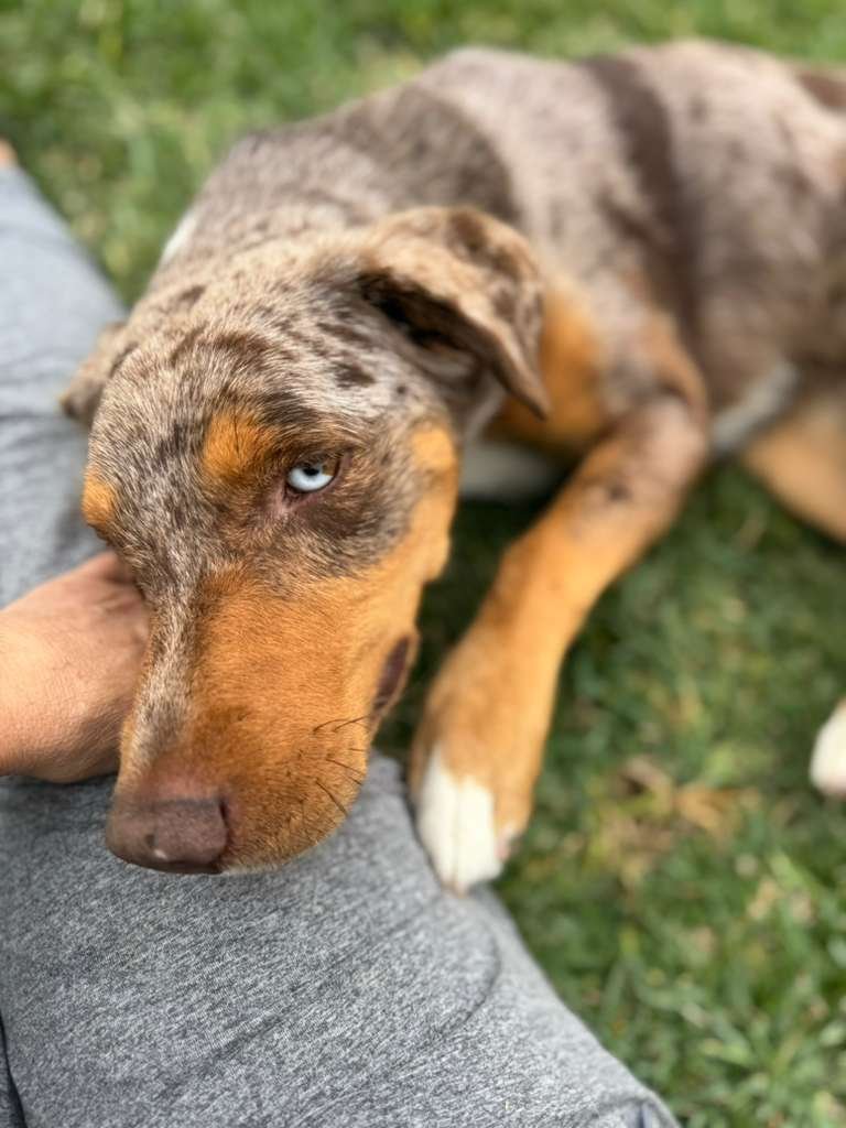 PHOTO-2026-03-31-15-22-54 3.JPG