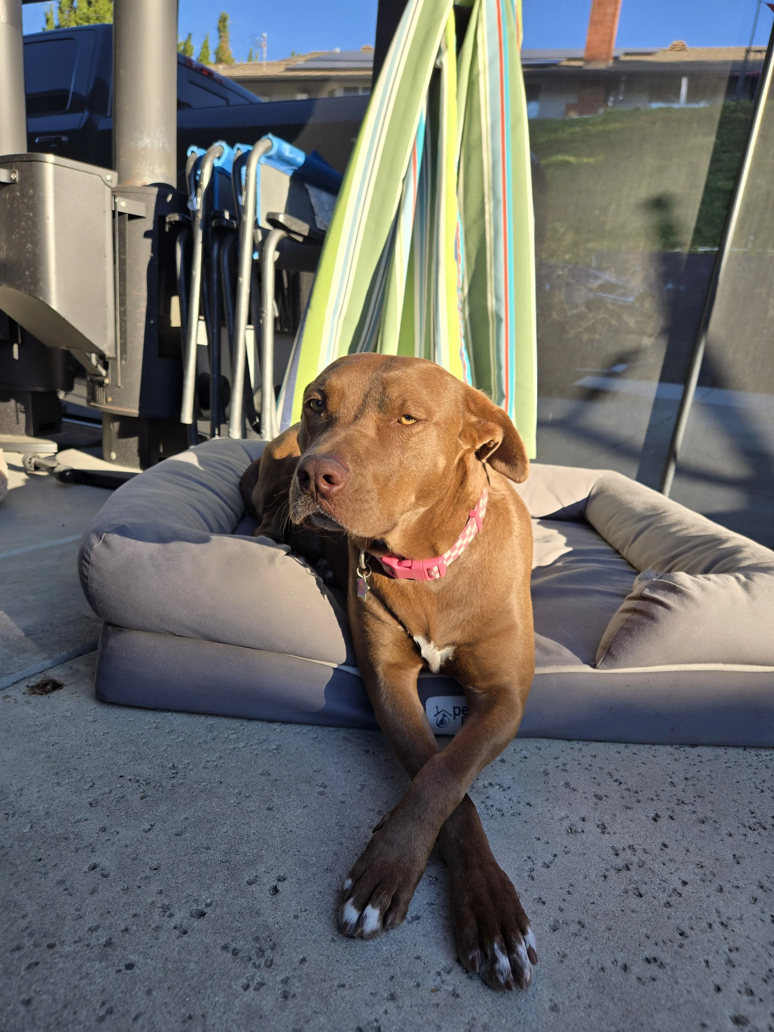 April feet crossed.jpg