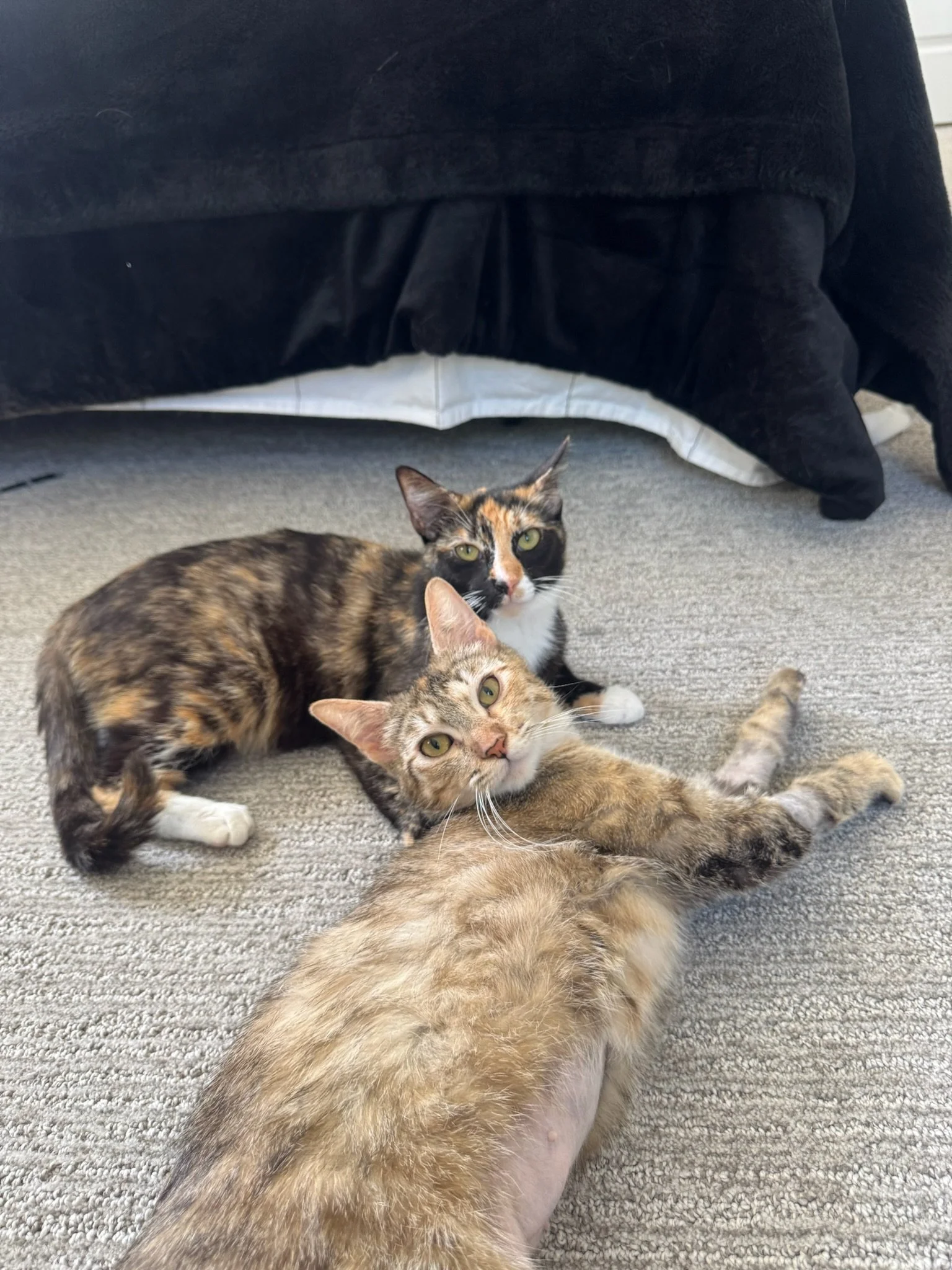 cute duo.JPG