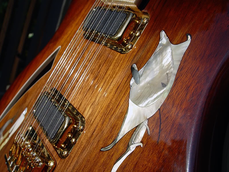 380L 12-STRING CONVERSION WITH ADDED PIEZO