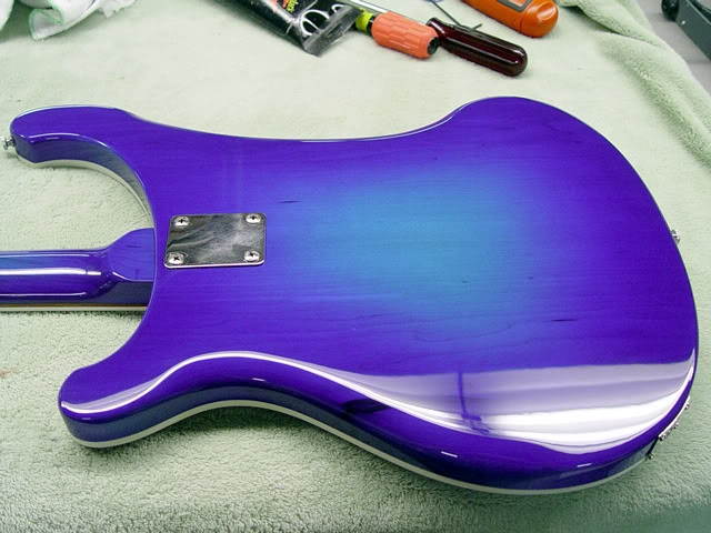 BLUE BURST ON DISPLAY ON BACK