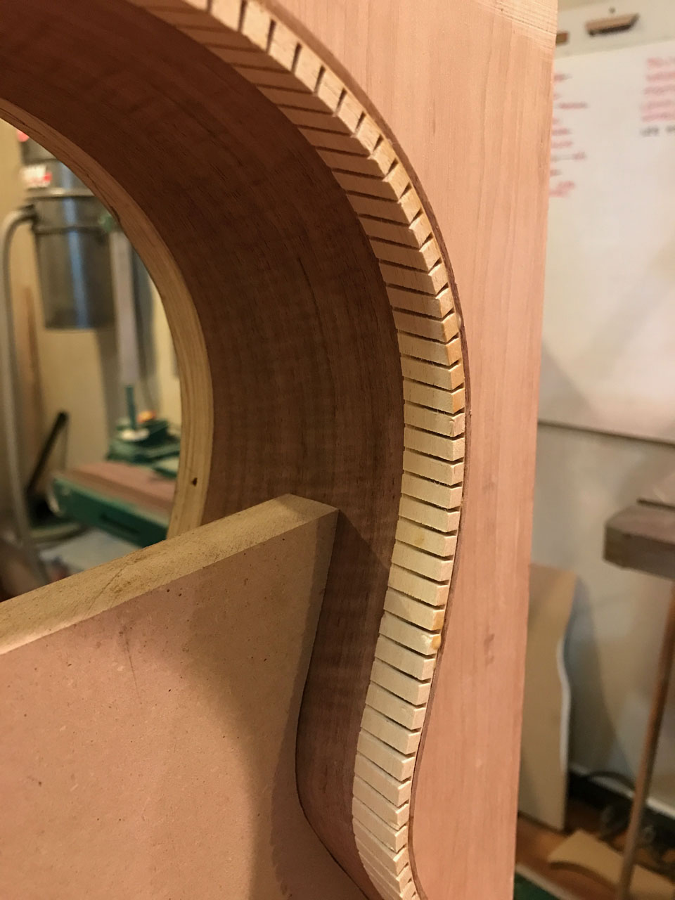 THE CLASSICAL BODY IN CLOSEUP. THE LININGS HAVE BEEN GLUED INTO PLACE, AND NOW THE SIDES ARE SANDED LEVEL WITH THE LININGS.