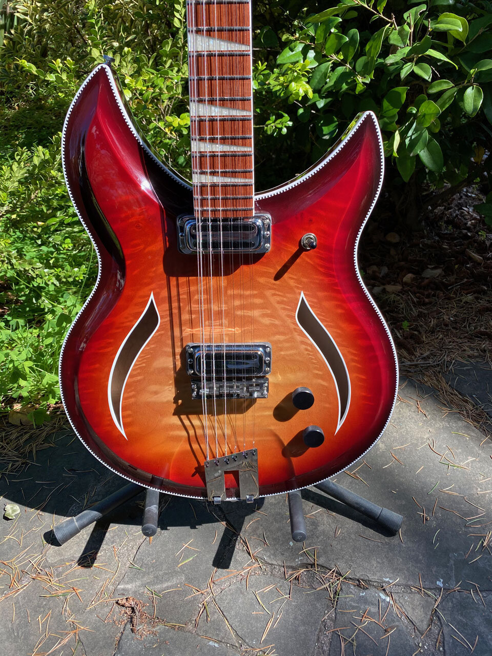 381-BASED GALLERY GUITAR WITH TITANIUM HARDWARE