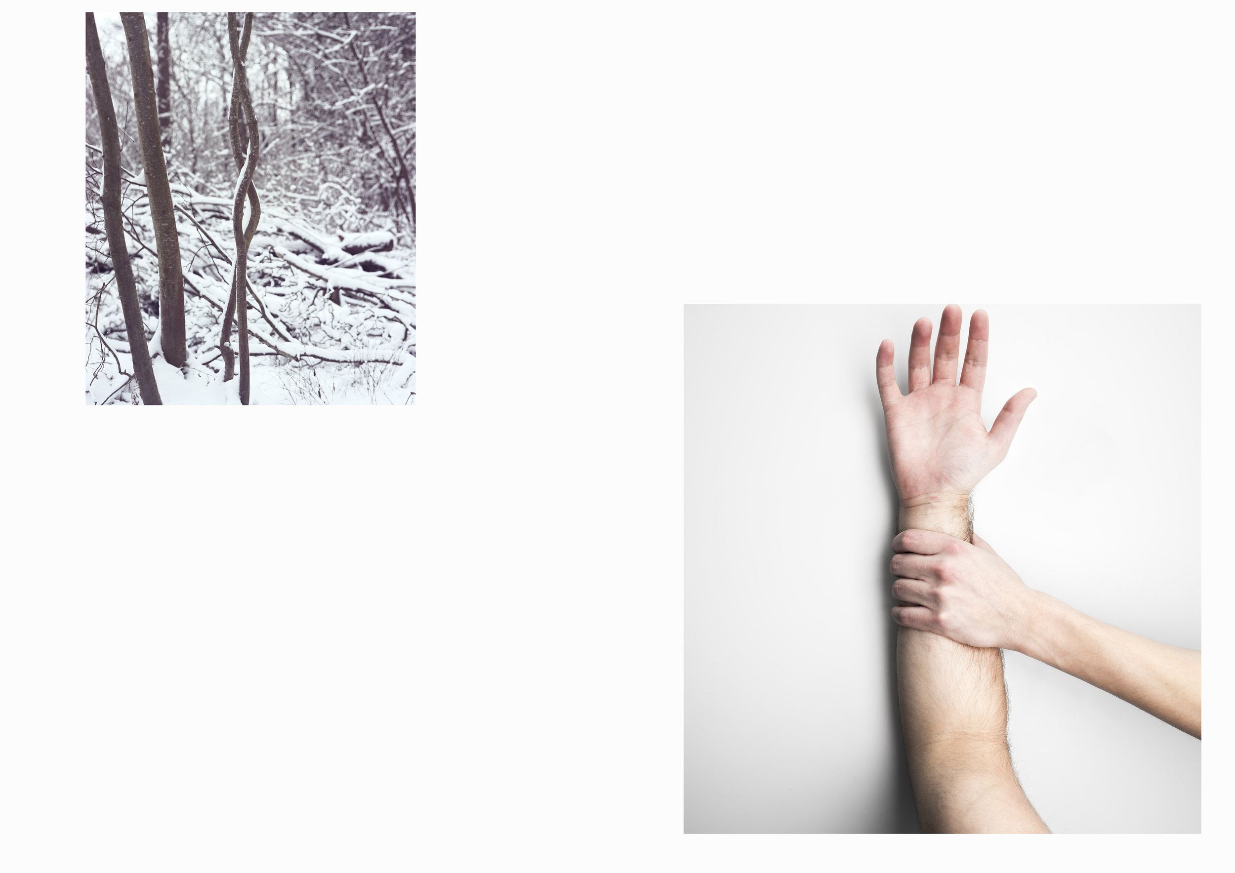 hand and tree.jpg