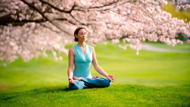 meditation in cherry blossoms.jpg