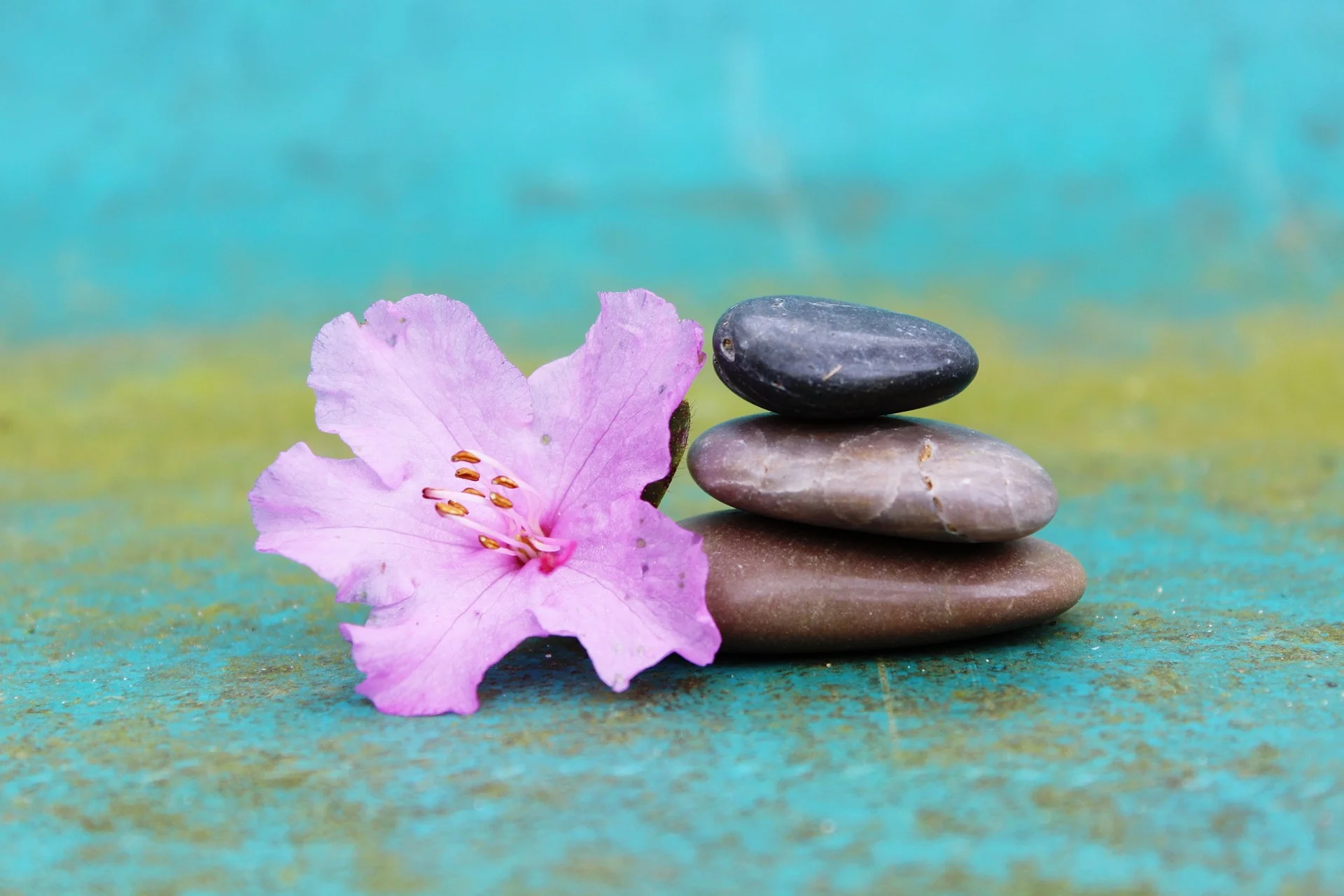 Self Love through Self Hypnosis