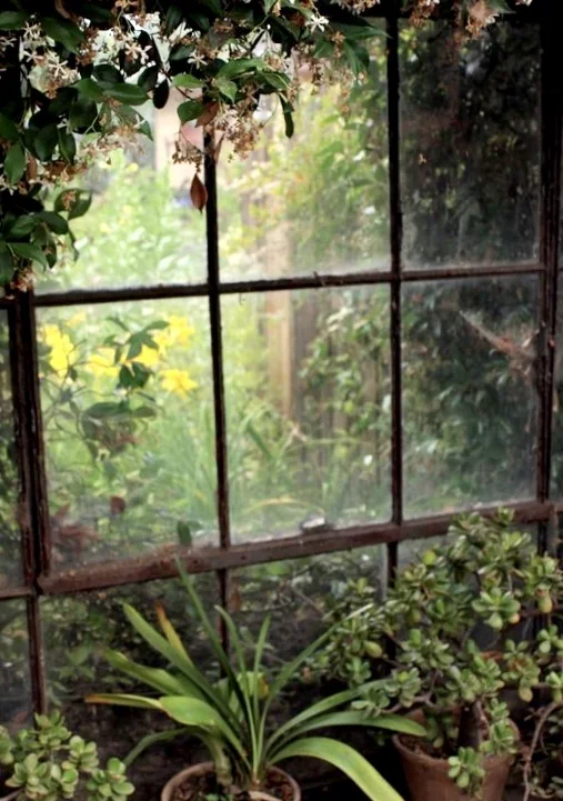 Shamanic Soul Garden.jpg