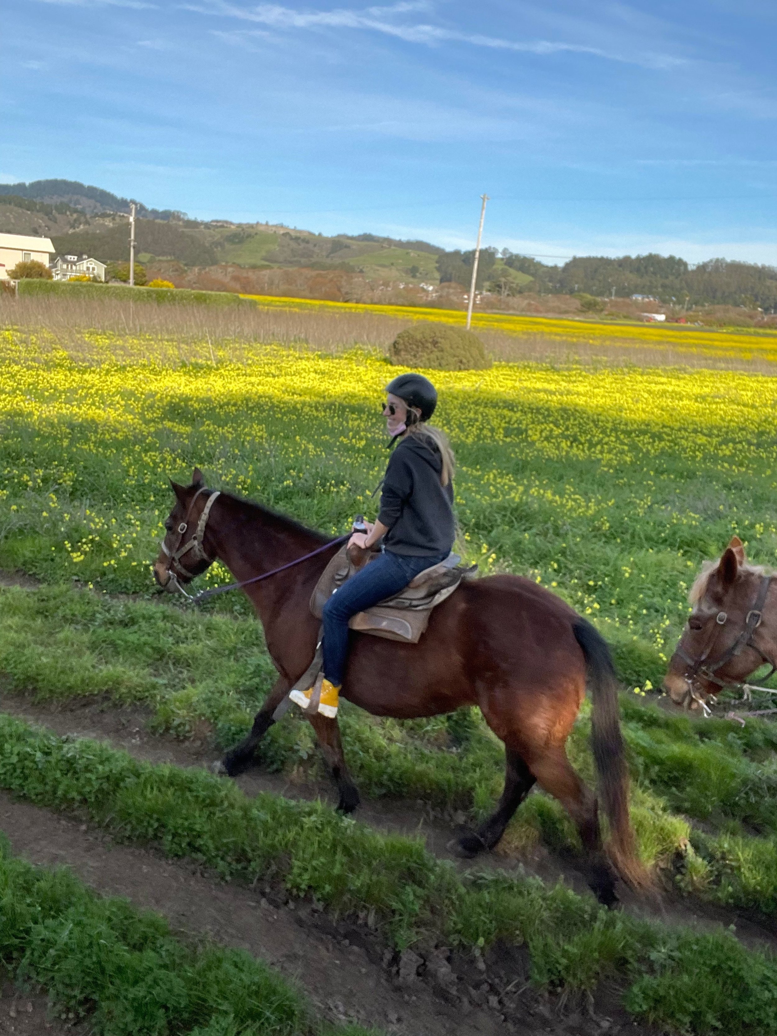 Early morning horseback riding