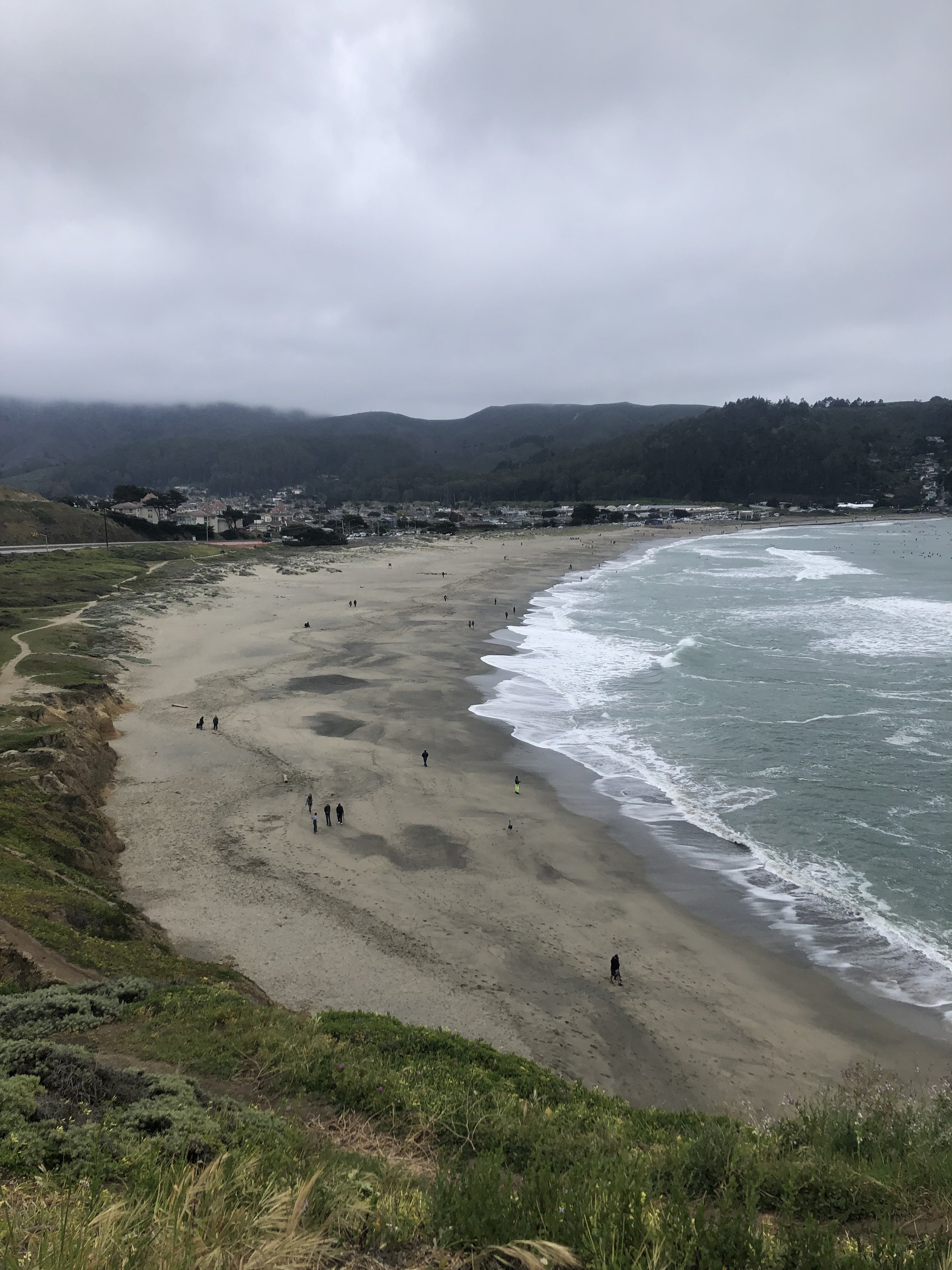 Beach cleanup/community service day