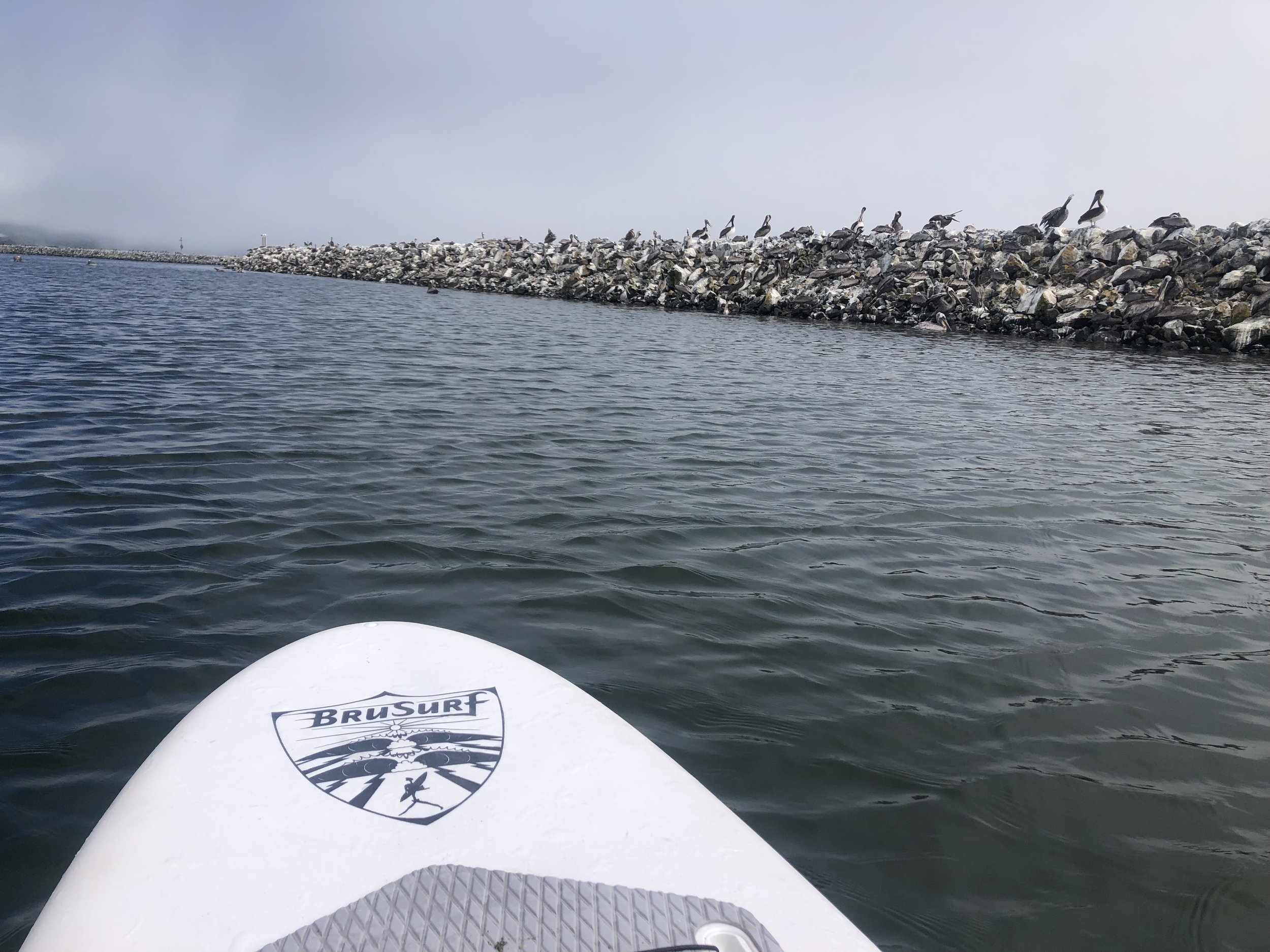 Stand up paddle boarding