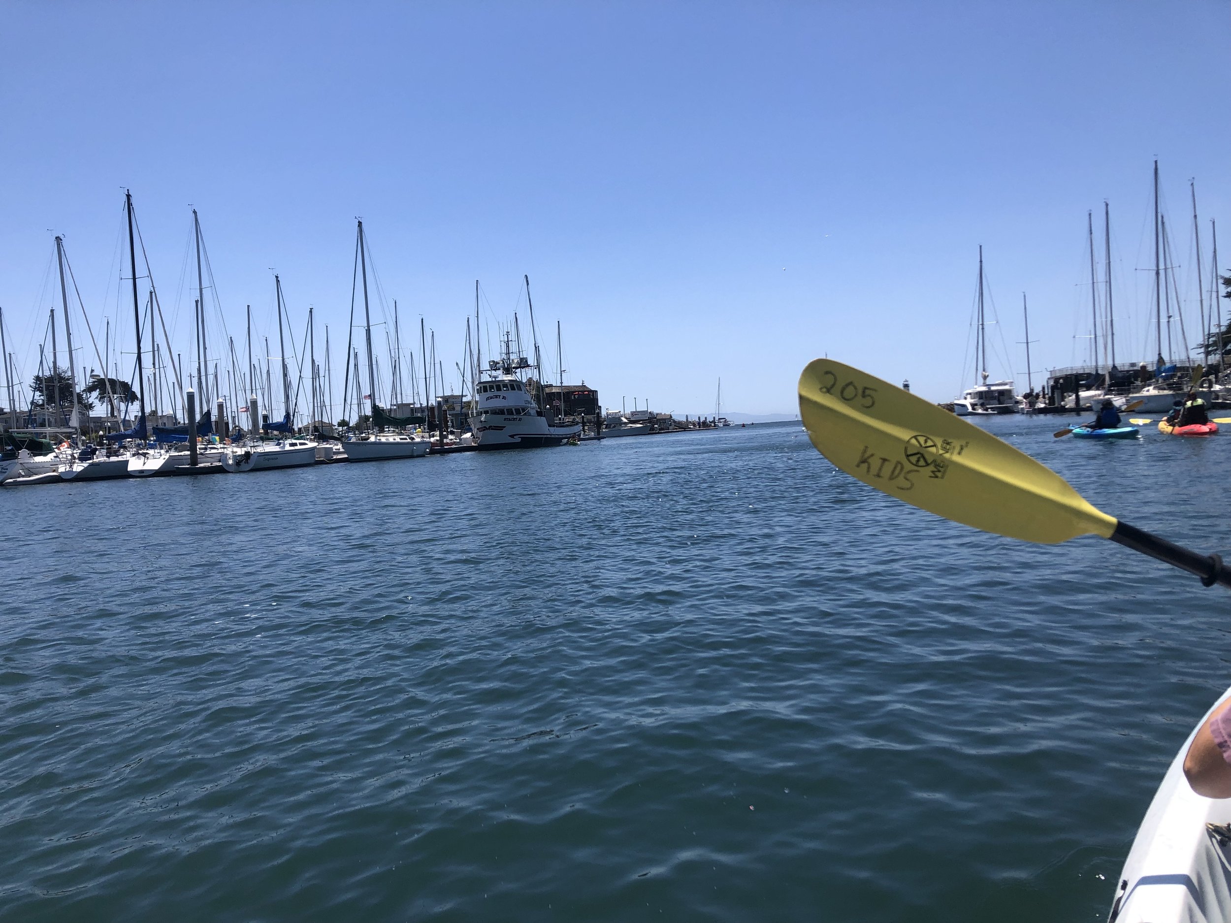 Kayaking in Santa Cruz harbor
