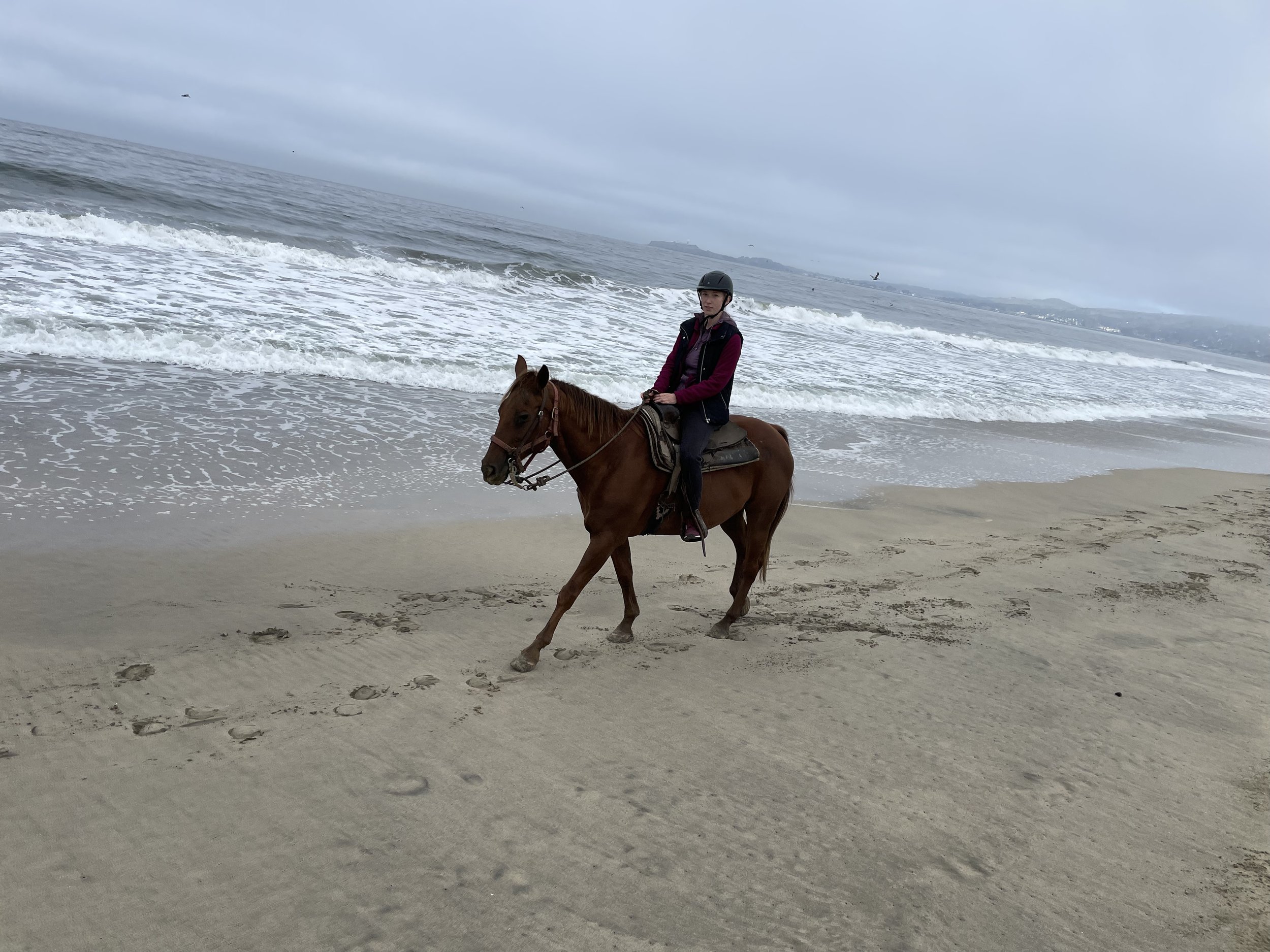 Horseback riding on the beach