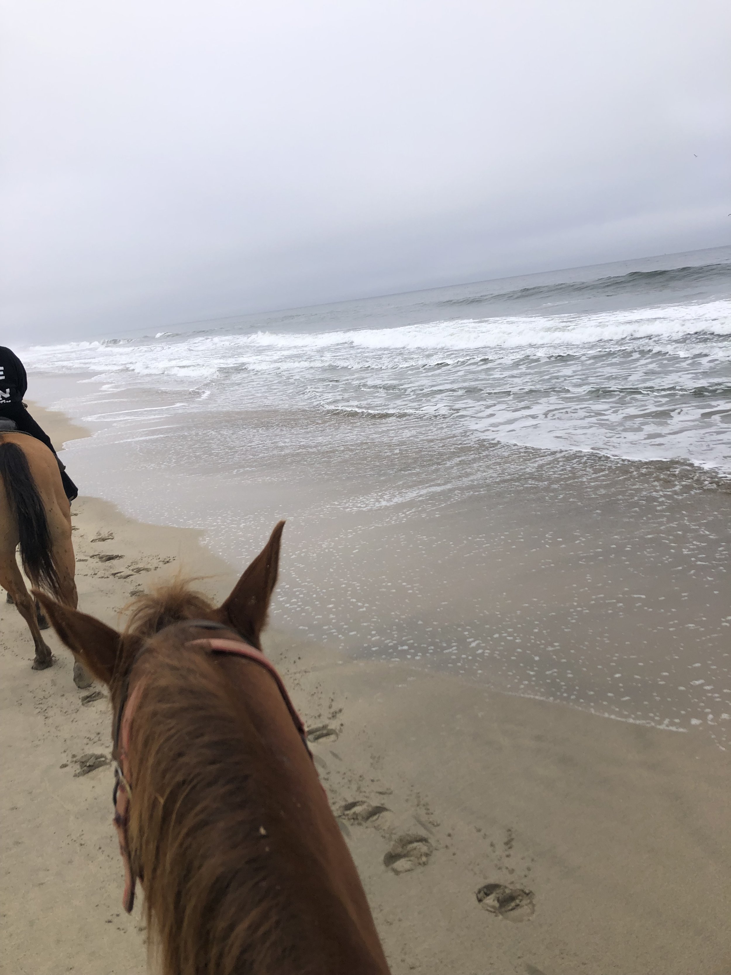 Horseback riding on the beach