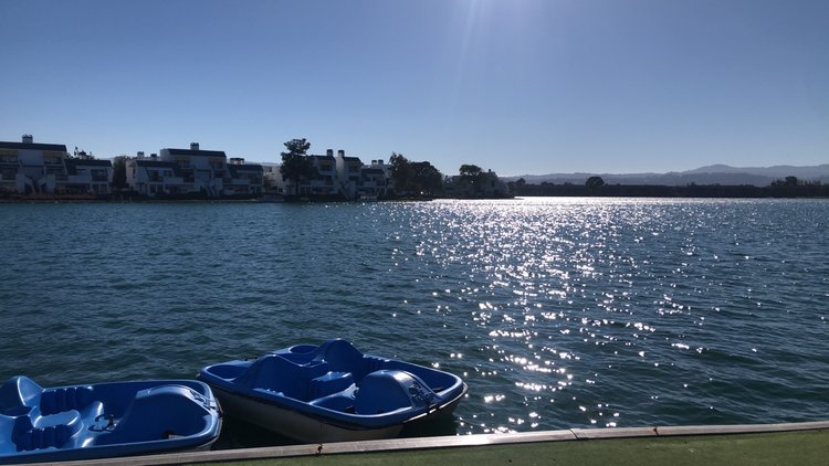 Paddle boating