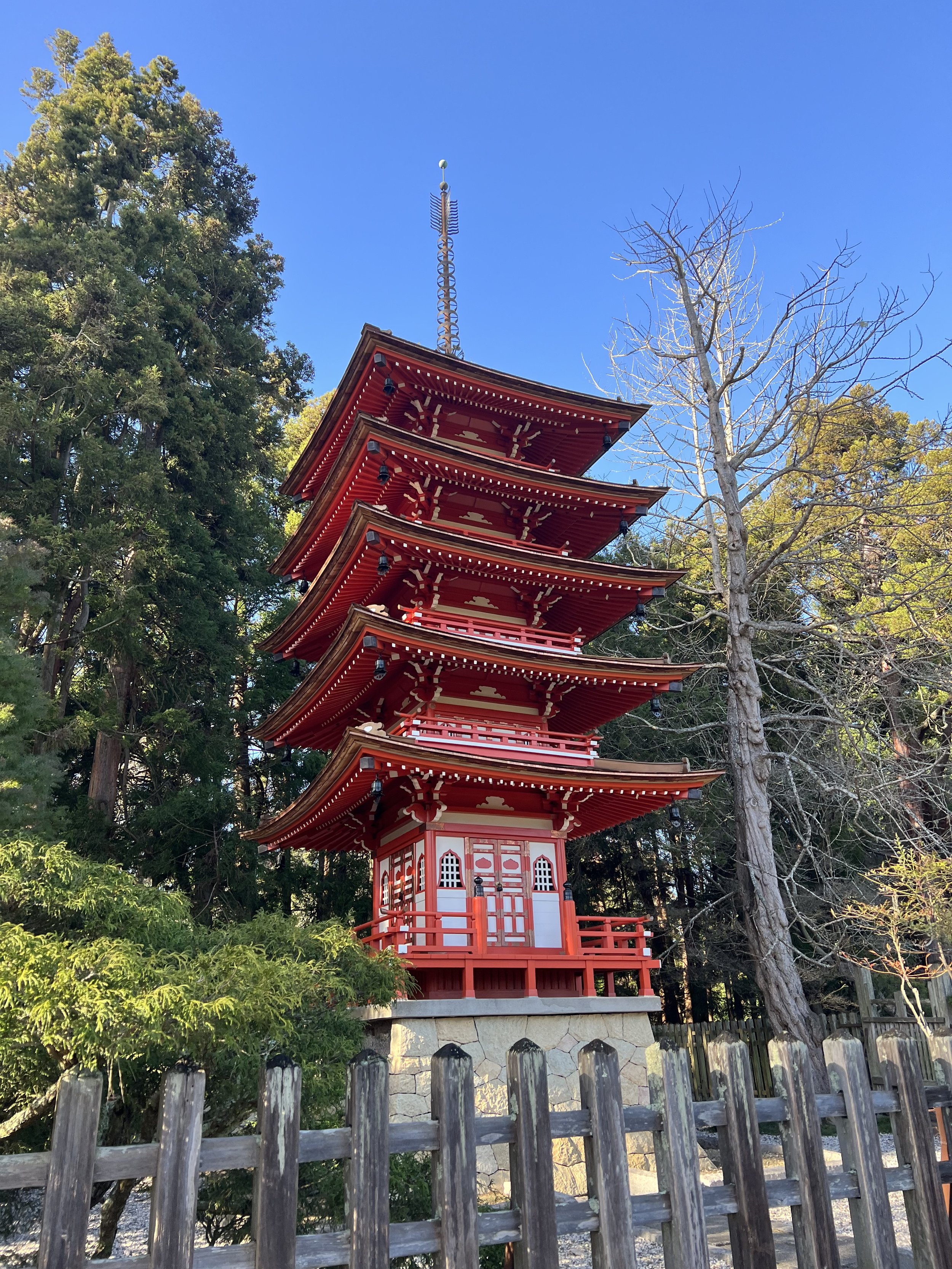 Visiting SF Japanese Tea Garden