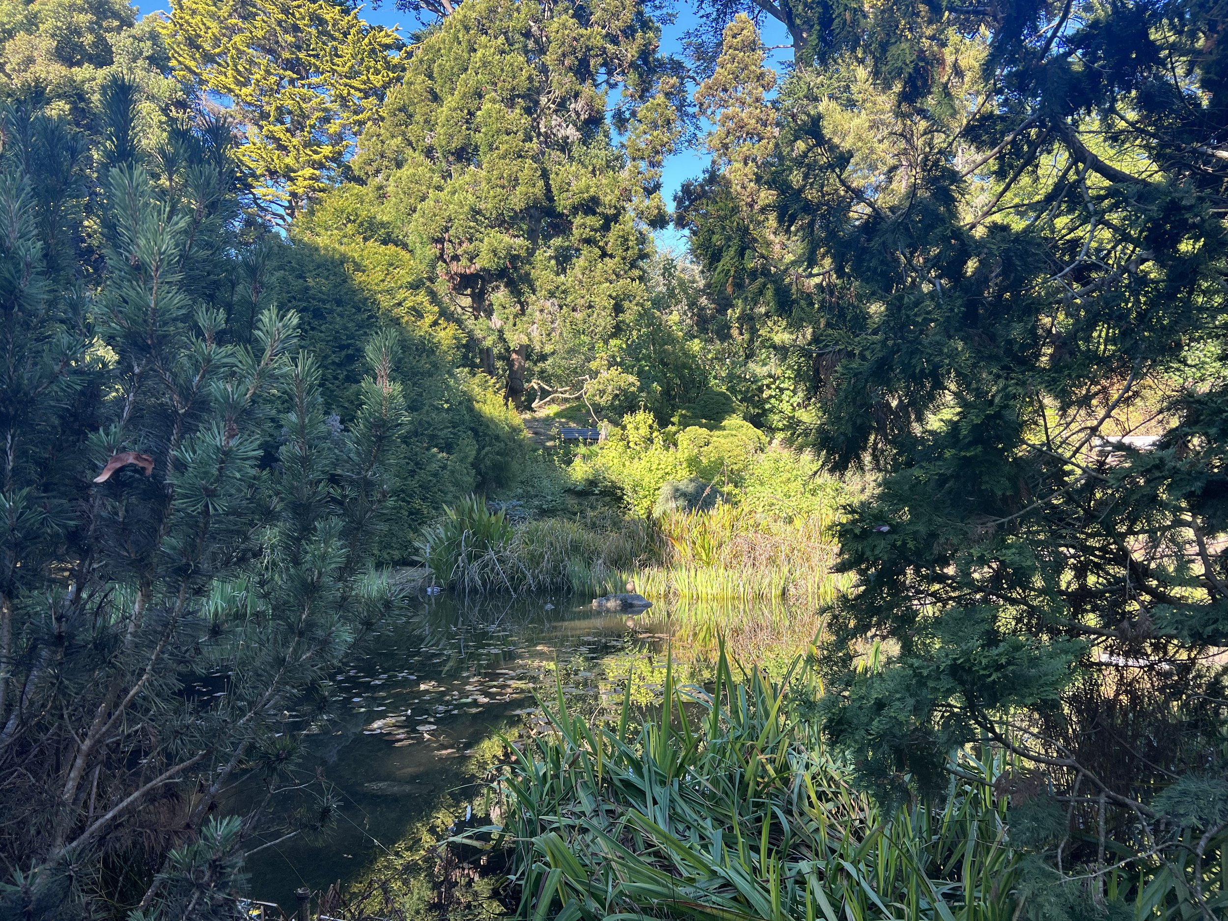 Visiting SF Botanical Garden