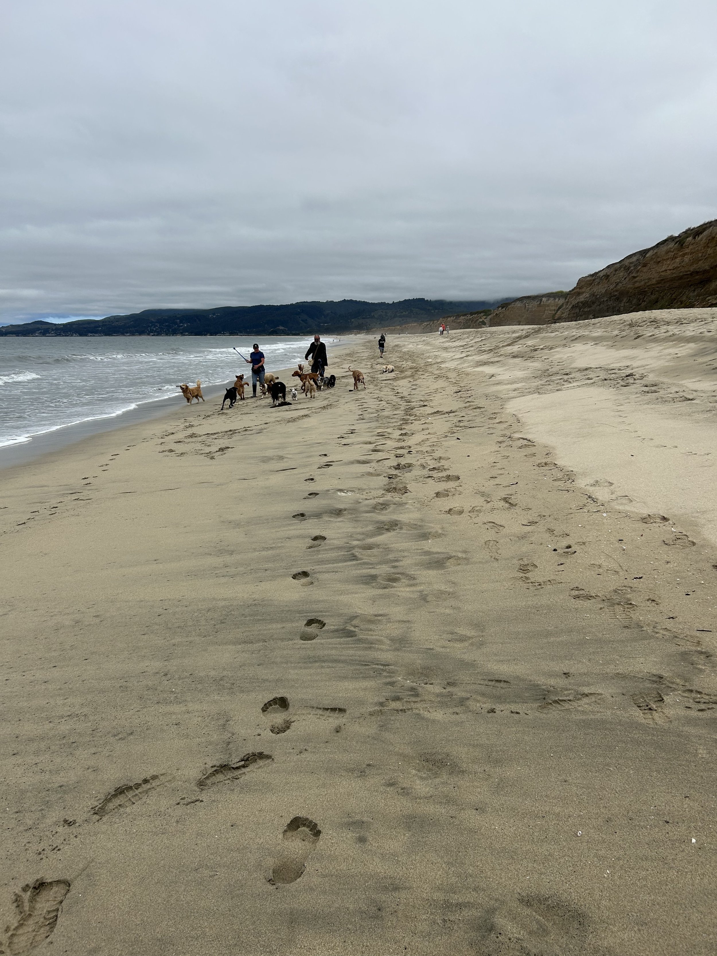 Morning beach walk