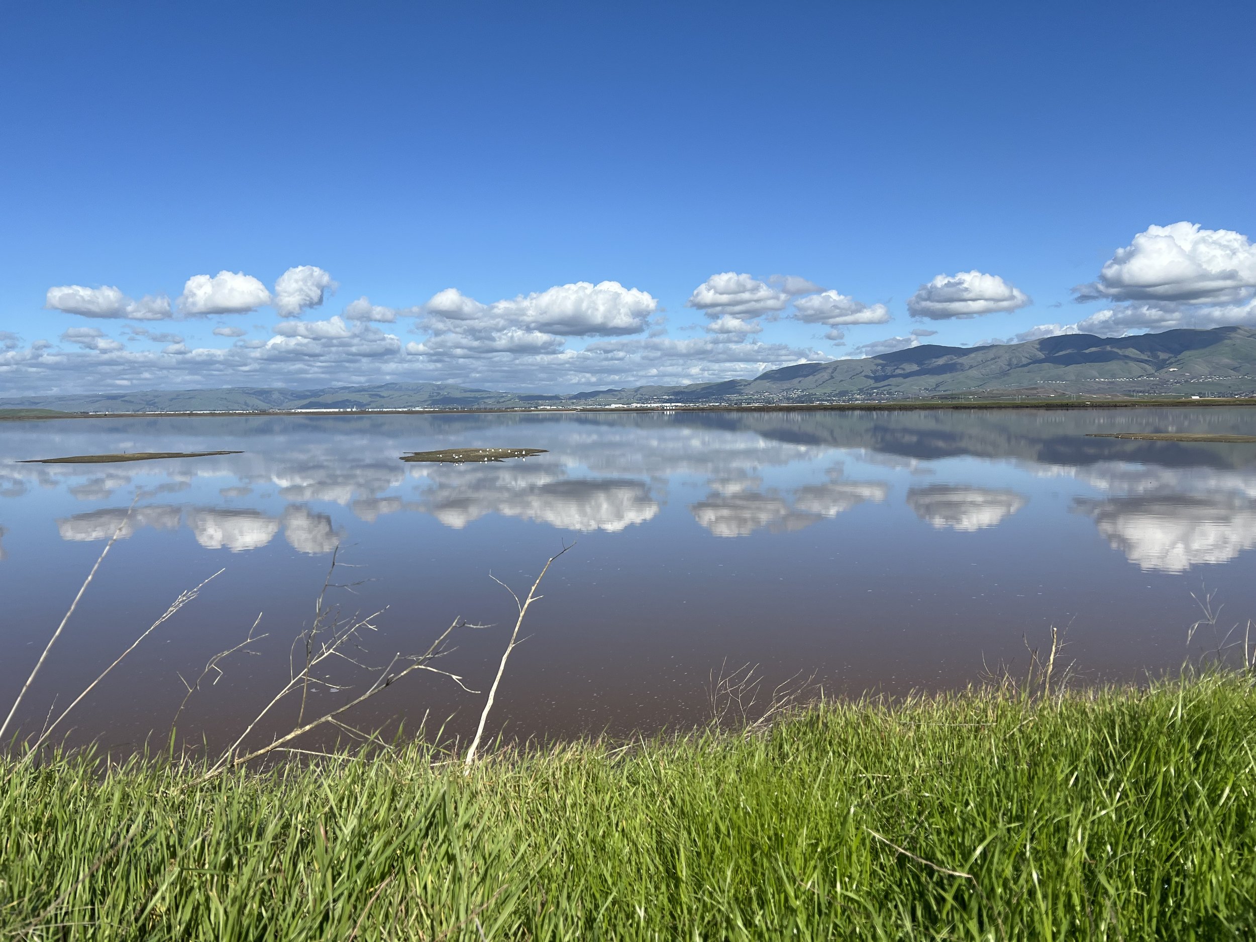 Exploring salt marshes