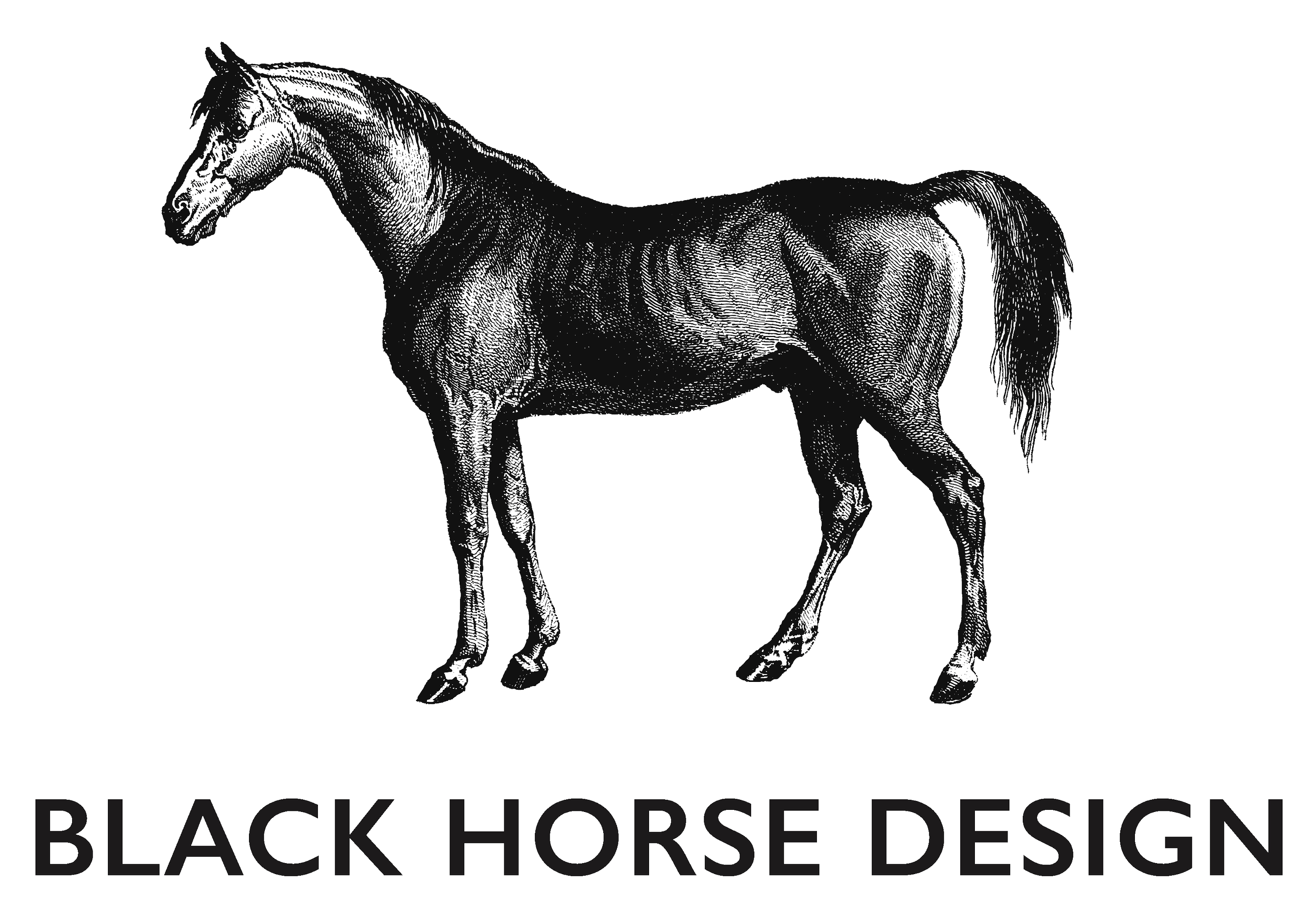 Black Horse Design