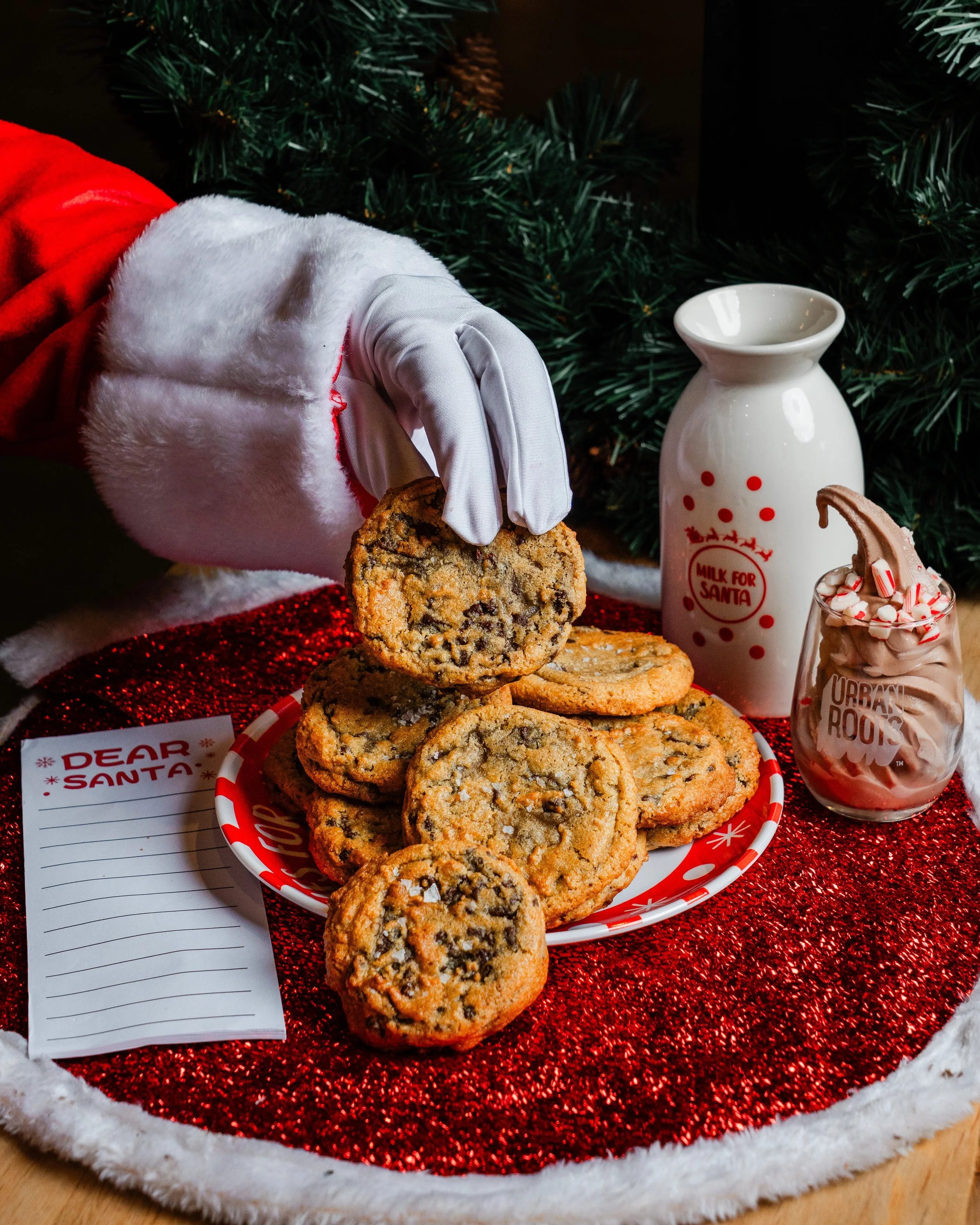 20251209-DSC09328 (1).jpg