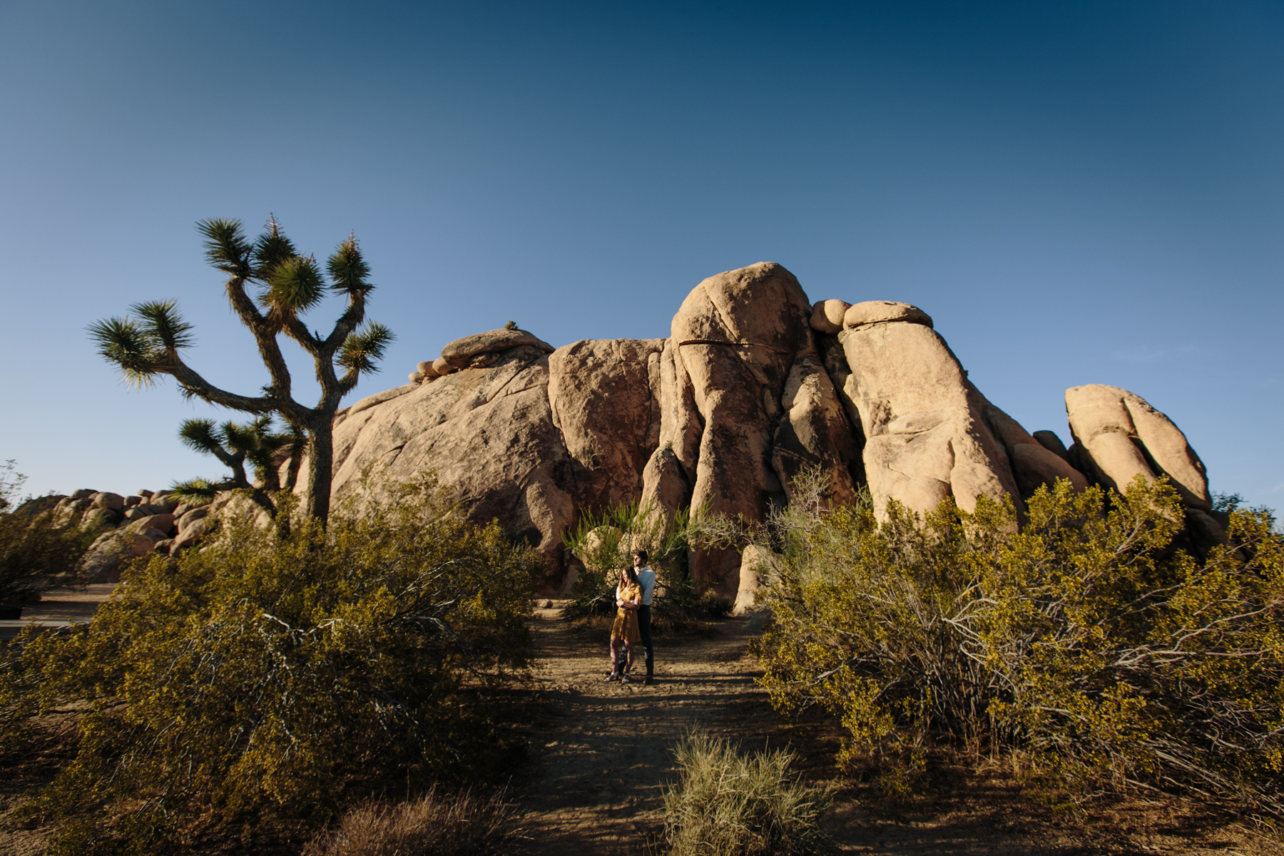 Joshua Tree Engagement Session