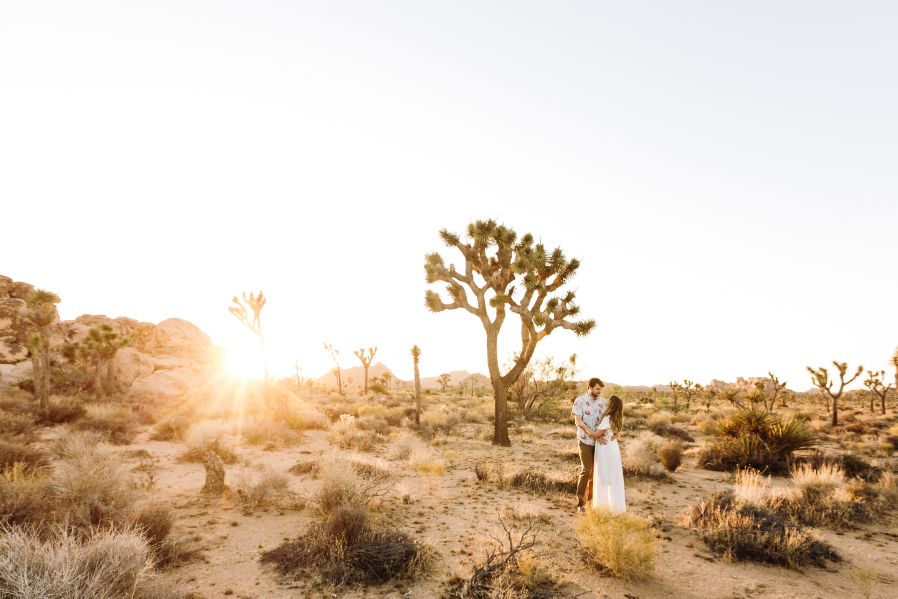 Stunning Sunset Joshua Tree