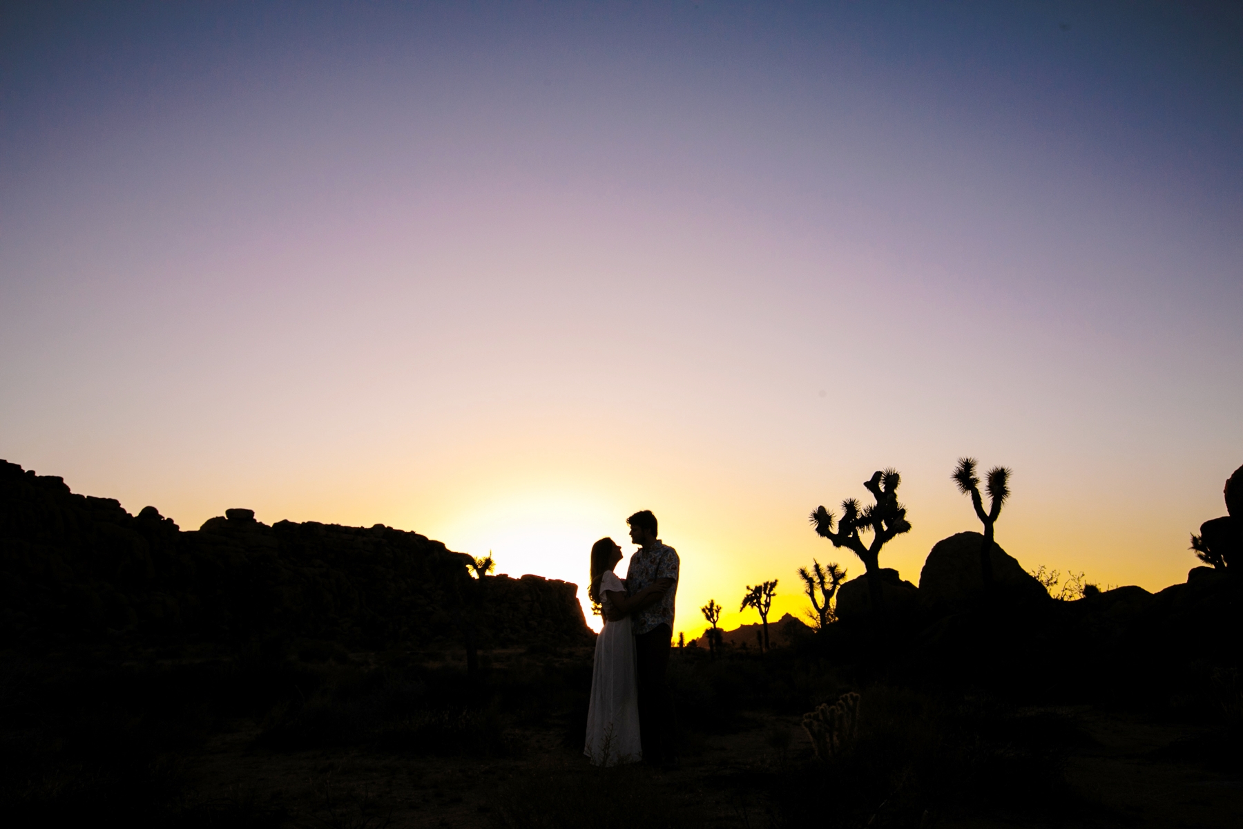 Sunset Colors Joshua Tree 