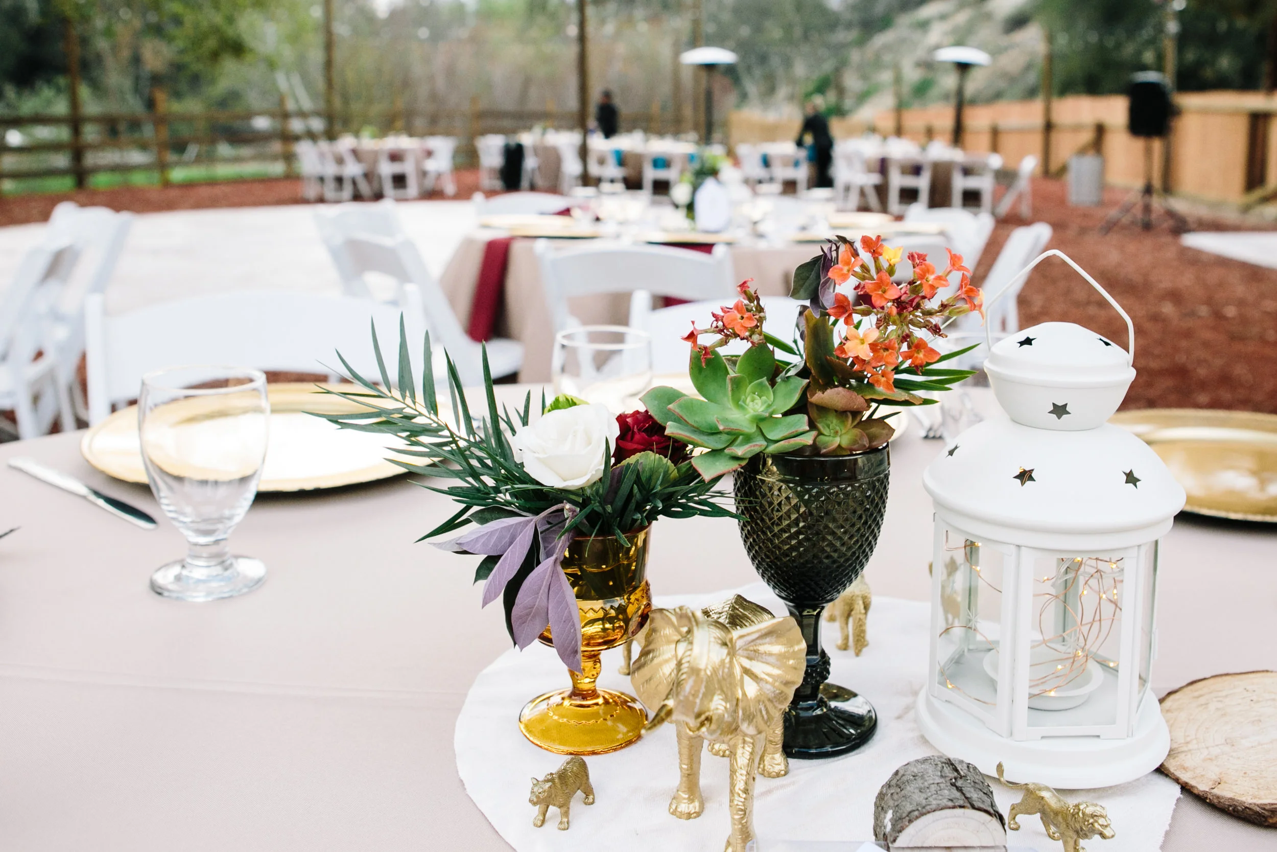 Reptacular Ranch Reception Detail
