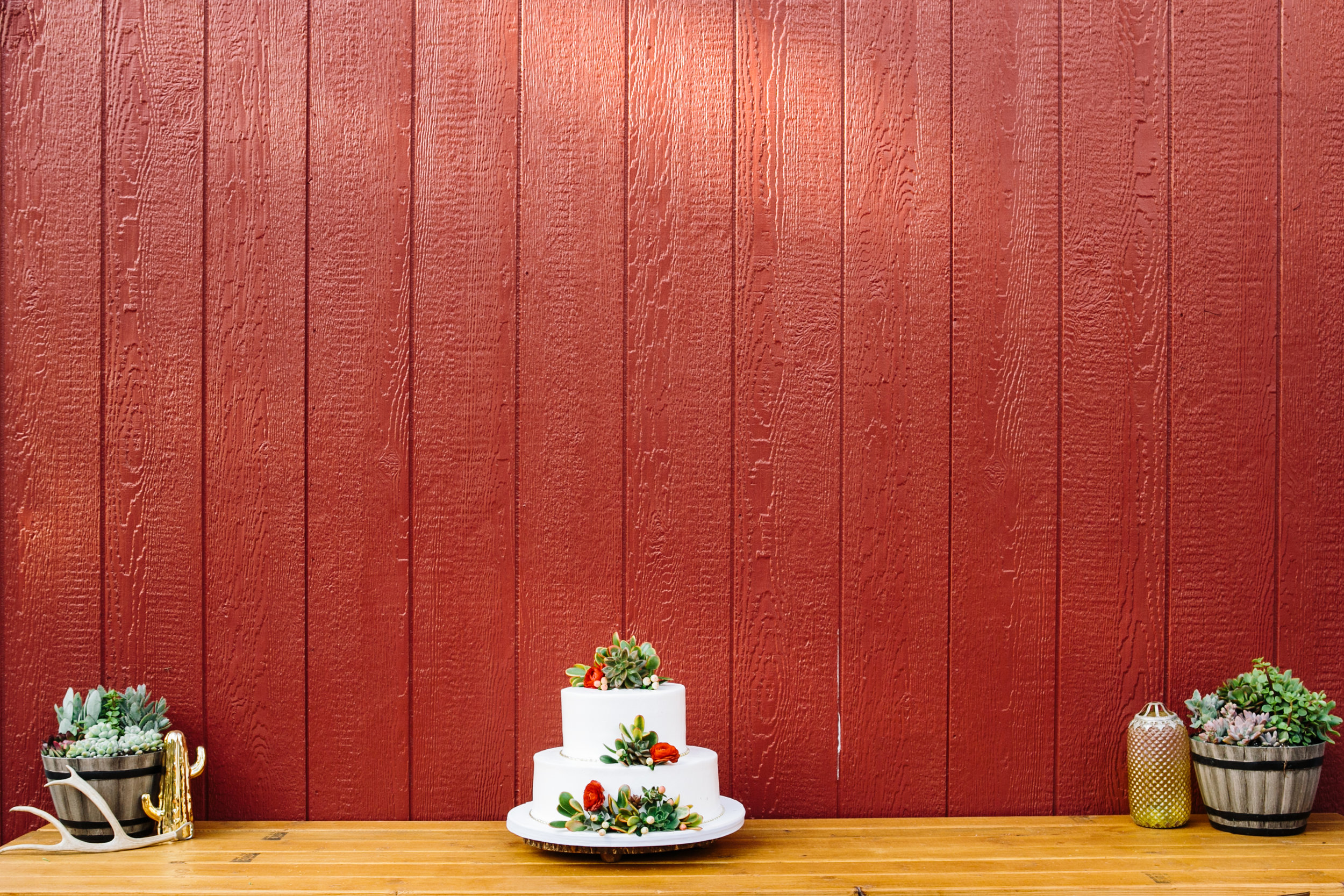 Reptacular Ranch wedding cake detail