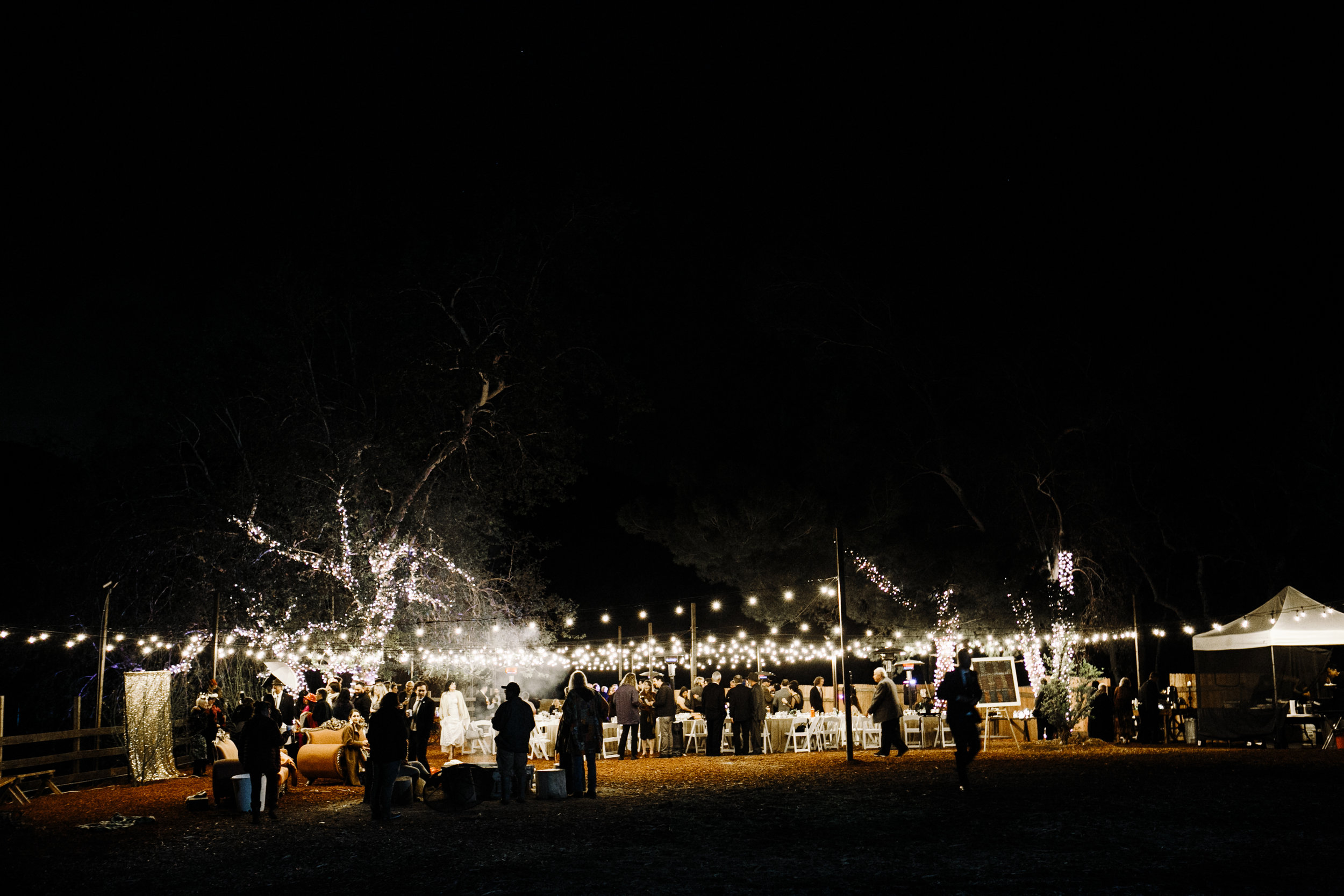 Reptacular Ranch Reception Detail