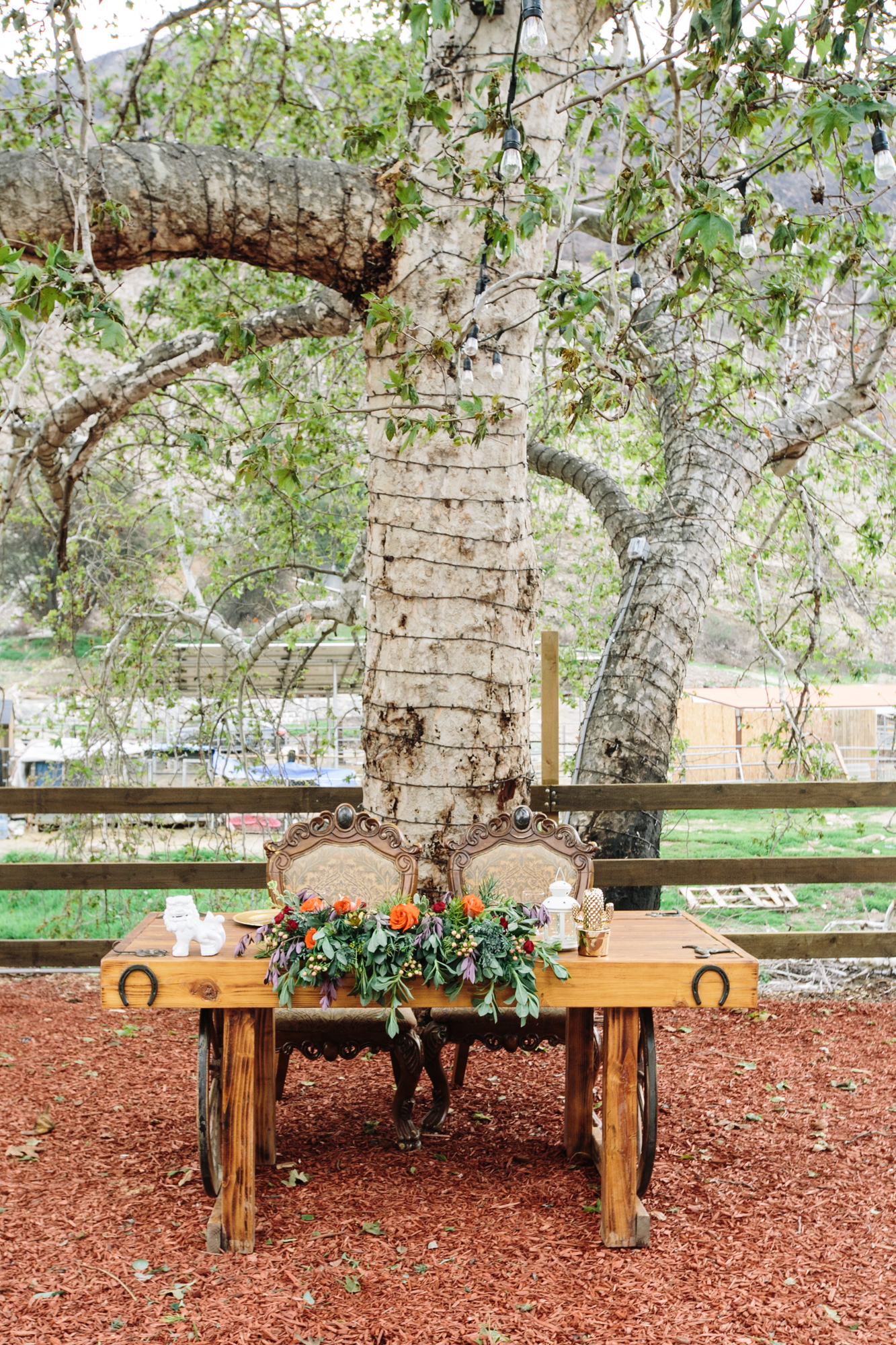 Reptacular Ranch Reception Detail