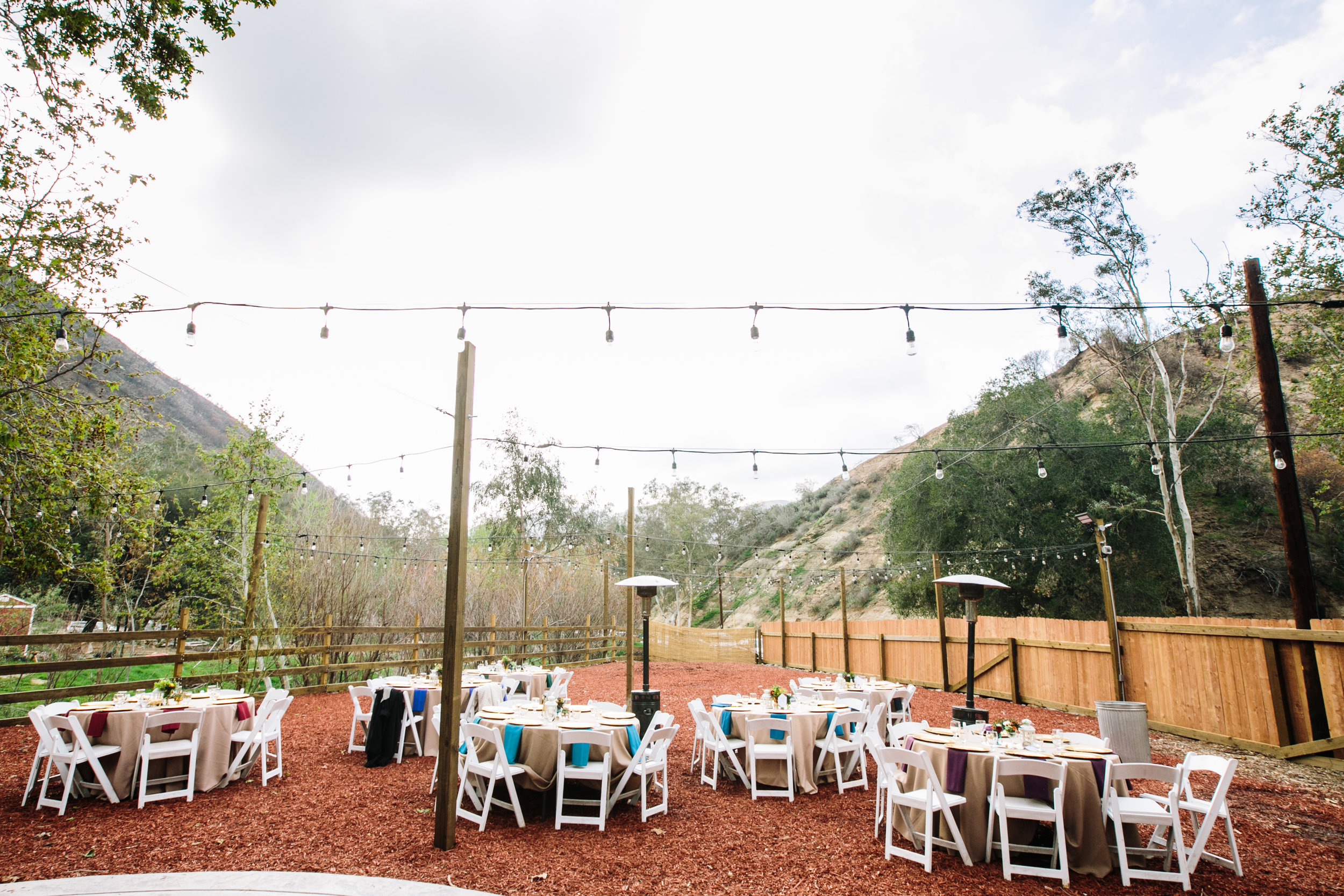 Reptacular Ranch Reception Detail