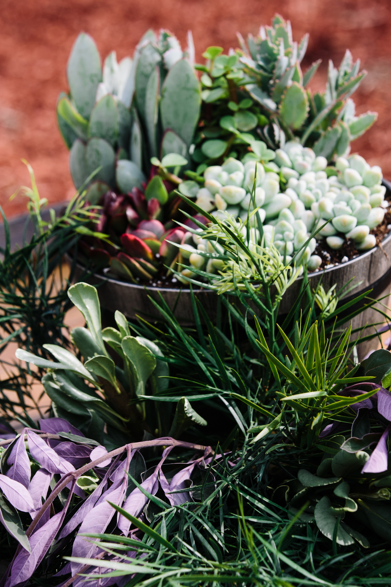 Reptacular Ranch Ceremony detail